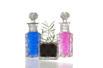Blue pink glass bottles plant