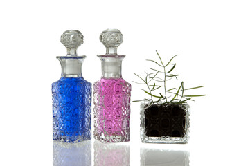 Pink blue glass flagons plant