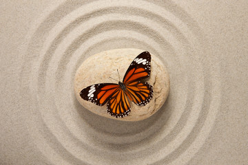 Fototapeta na wymiar Zen rock z motylem