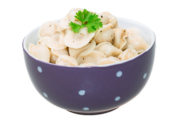 Russian dumplings