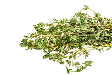 Thyme