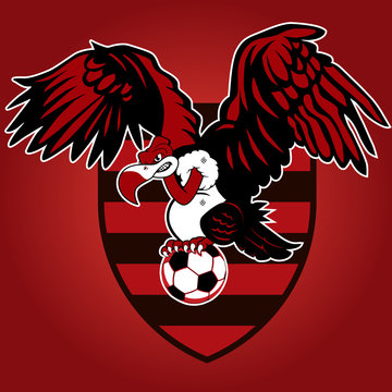 Urubu Bola