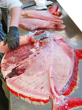 fisch ausnehmen