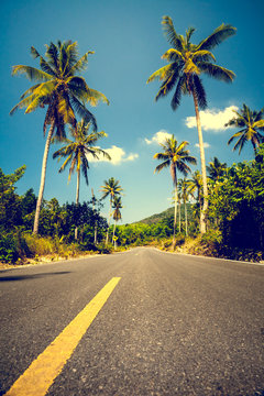 Nice asfalt road with palm trees