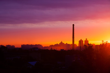 Naklejka premium summer sunrise