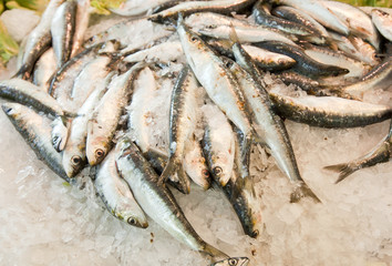 Close-up of fresh fish in ice at market