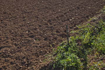 View of ploughed agricultural field