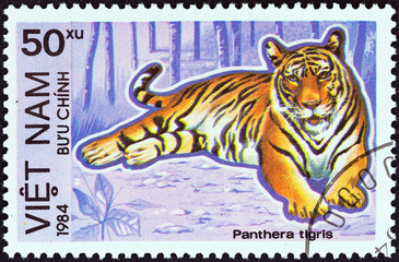 Tiger (Vietnam 1984)