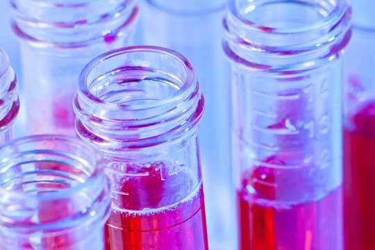test tubes with red liquid in laboratory
