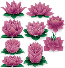 Lotus Set Colored 3
