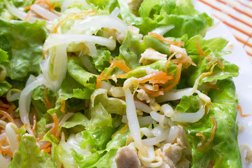 salad isolated.