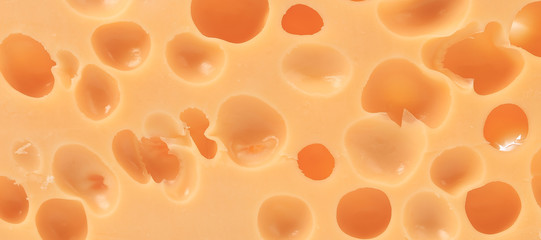 Close up of dutch cheese.