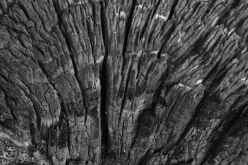 Close-up of burnt wood