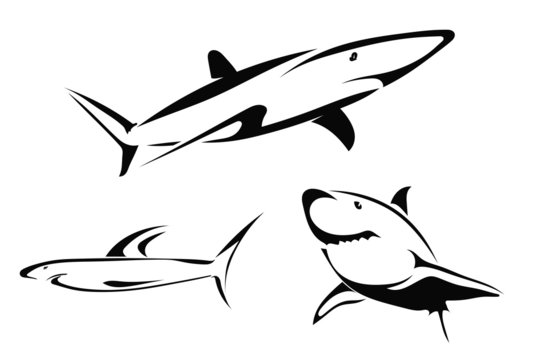 Set of vector drawings of sharks