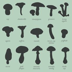 vector set of mushrooms silhouettes