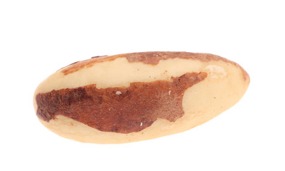 Close up of brazil nuts.