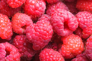 raspberries close up