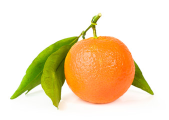 Mandarin with leaves