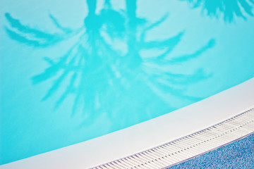 Swimmingpool unter Palmen