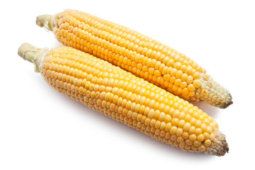 Corn