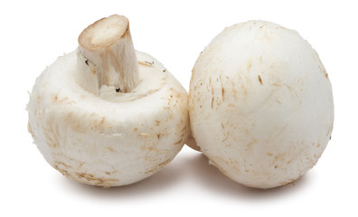 Champignon mushrooms