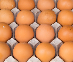 Closeup of many fresh brown eggs in carton tray