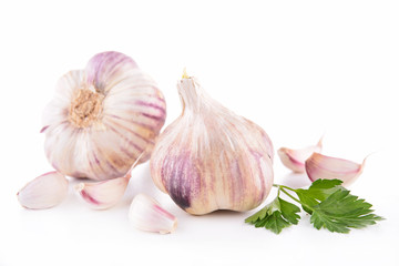 garlic bulb isolated