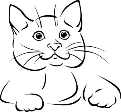 vector cat - black outline illustration