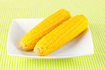 boiled corn on the white plate on a green tablecloth