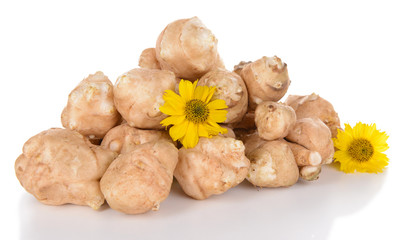 Topinambur roots isolated on white