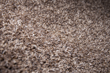 Brown carpet