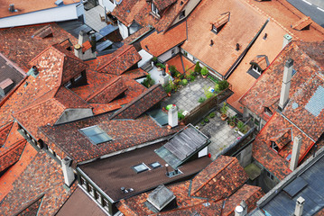 Rooftops of the old city with roof gardens