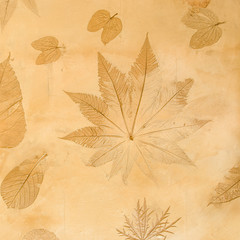 Leaves wall paper and background