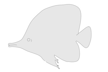 cartoon illustration of fish animal