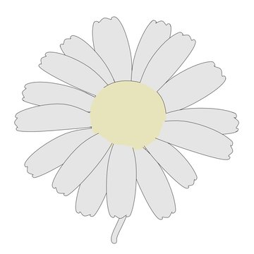 cartoon image of daisy flower