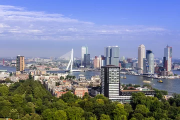 Photo sur Plexiglas Pont Érasme Rotterdam Skyline vom Euromast