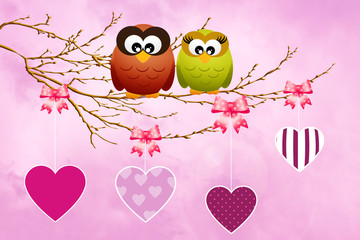 Owls celebrate Valentine's Day