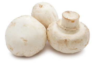 Champignon mushrooms