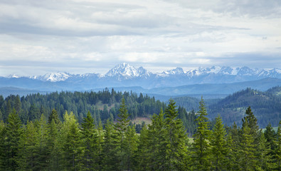 Mountains with snow and pines in Washington state