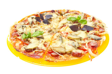 Tasty pizza isolated on the white background.