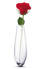 Rose in a white vase, isolated. Vector illustration