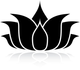 Lotus Silhouette
