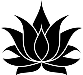 Lotus Silhouette