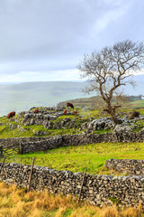 Yorkshire Dales
