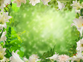 Flower Frame © Oxa