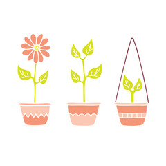 Flower and Plants In Pink Pots