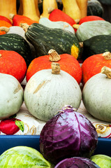 Squash and Gourds