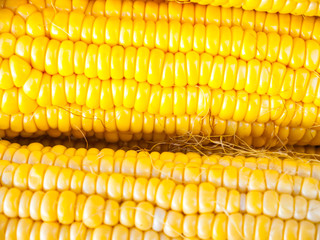 Close-up yellow corn