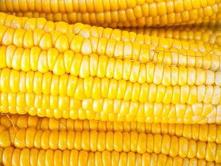 Close-up yellow corn