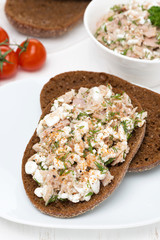 rye bread with tuna, homemade cheese and dill, vertical